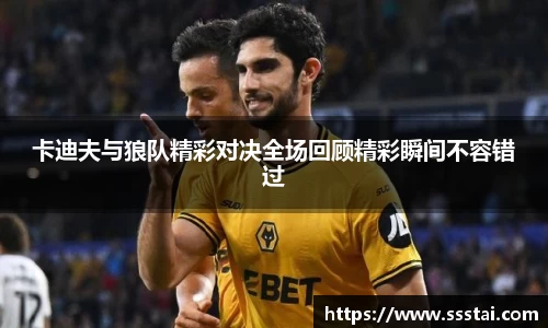 卡迪夫与狼队精彩对决全场回顾精彩瞬间不容错过